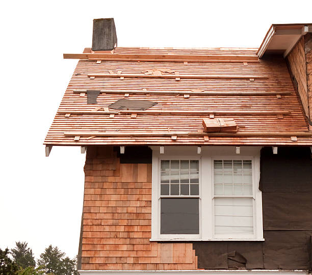 Best Custom Siding Design  in Hauser, ID